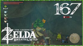 The Legend of Zelda Breath of the Wild #167: البحث عن الكورغو في منطقة هيبرا الجزء 2